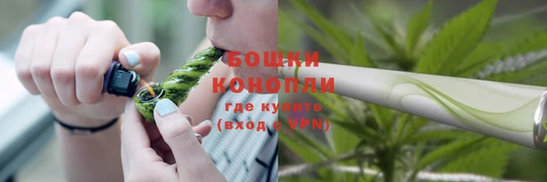 тгк Пересвет