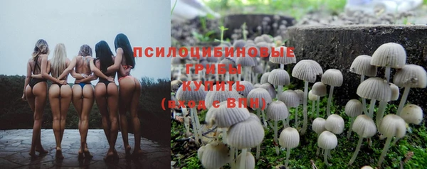 дживик Арсеньев