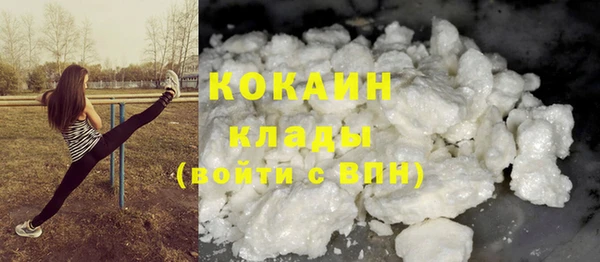дживик Арсеньев