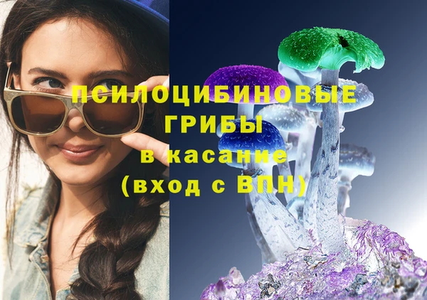 дживик Арсеньев