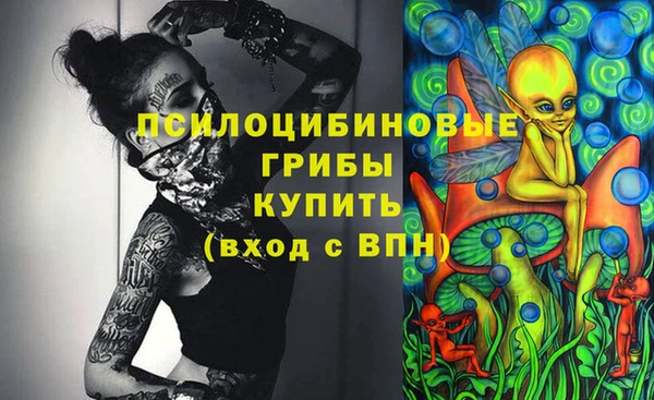 дживик Арсеньев