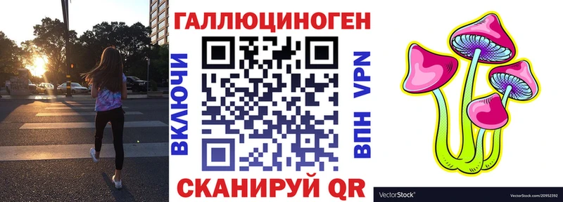 Галлюциногенные грибы GOLDEN TEACHER  Новоалександровск 